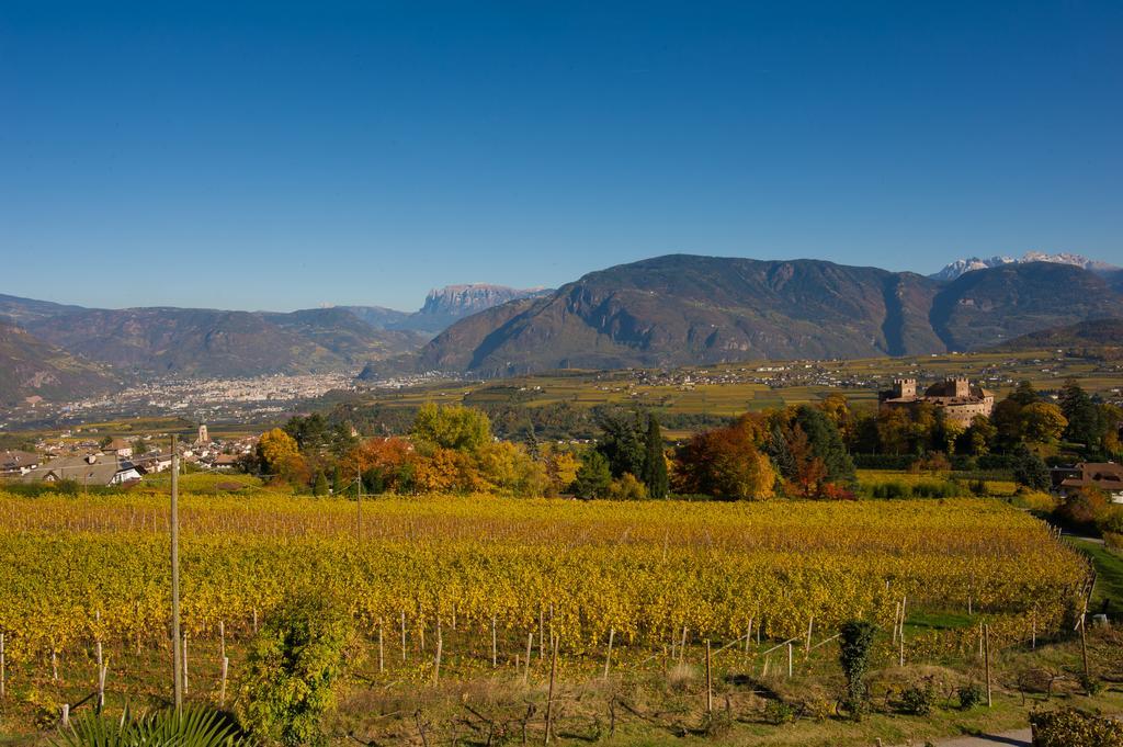 Weingut Wolkanhof อัปเปียโน ซุลลา สตราดา เดล วีโน ภายนอก รูปภาพ