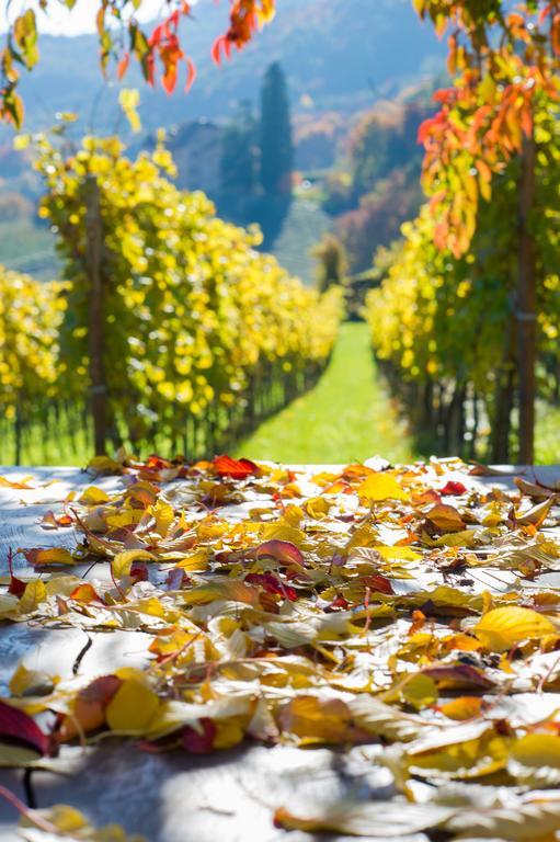 Weingut Wolkanhof อัปเปียโน ซุลลา สตราดา เดล วีโน ภายนอก รูปภาพ