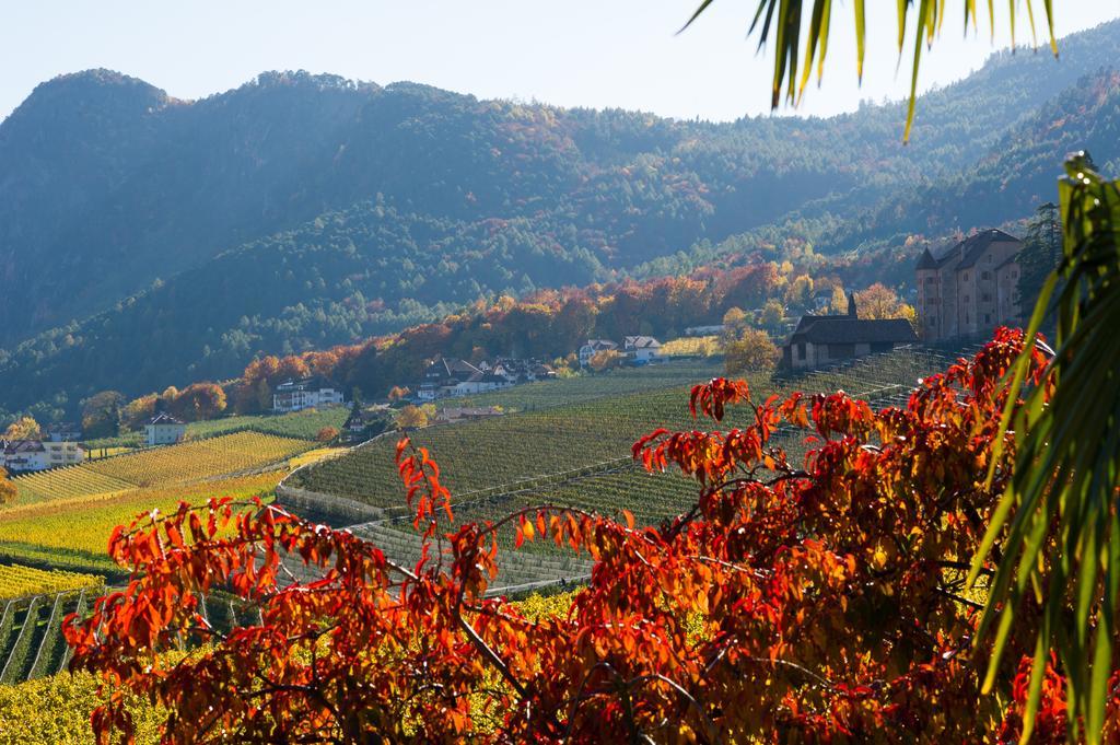Weingut Wolkanhof อัปเปียโน ซุลลา สตราดา เดล วีโน ภายนอก รูปภาพ