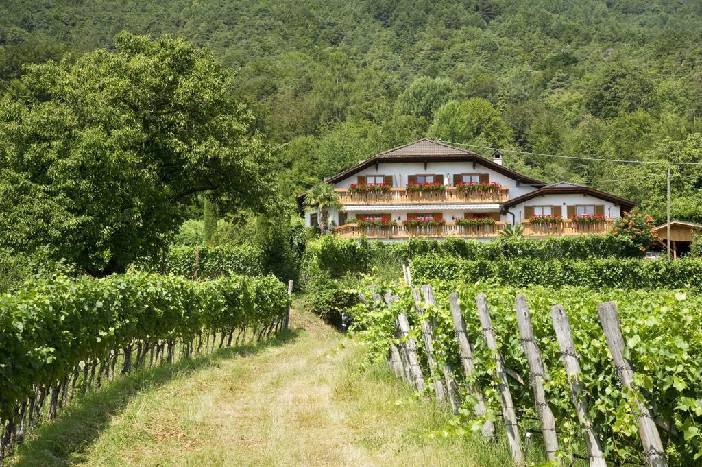 Weingut Wolkanhof อัปเปียโน ซุลลา สตราดา เดล วีโน ภายนอก รูปภาพ