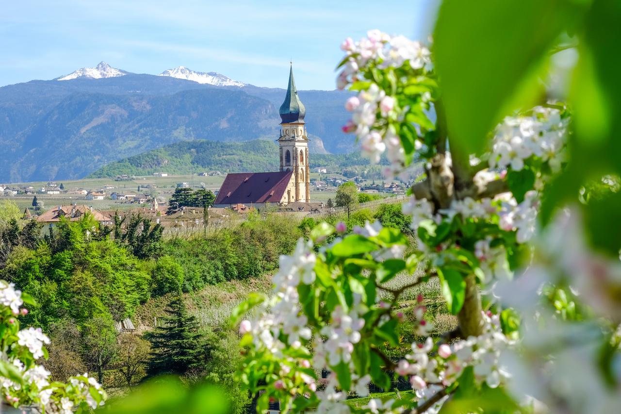 Weingut Wolkanhof อัปเปียโน ซุลลา สตราดา เดล วีโน ภายนอก รูปภาพ