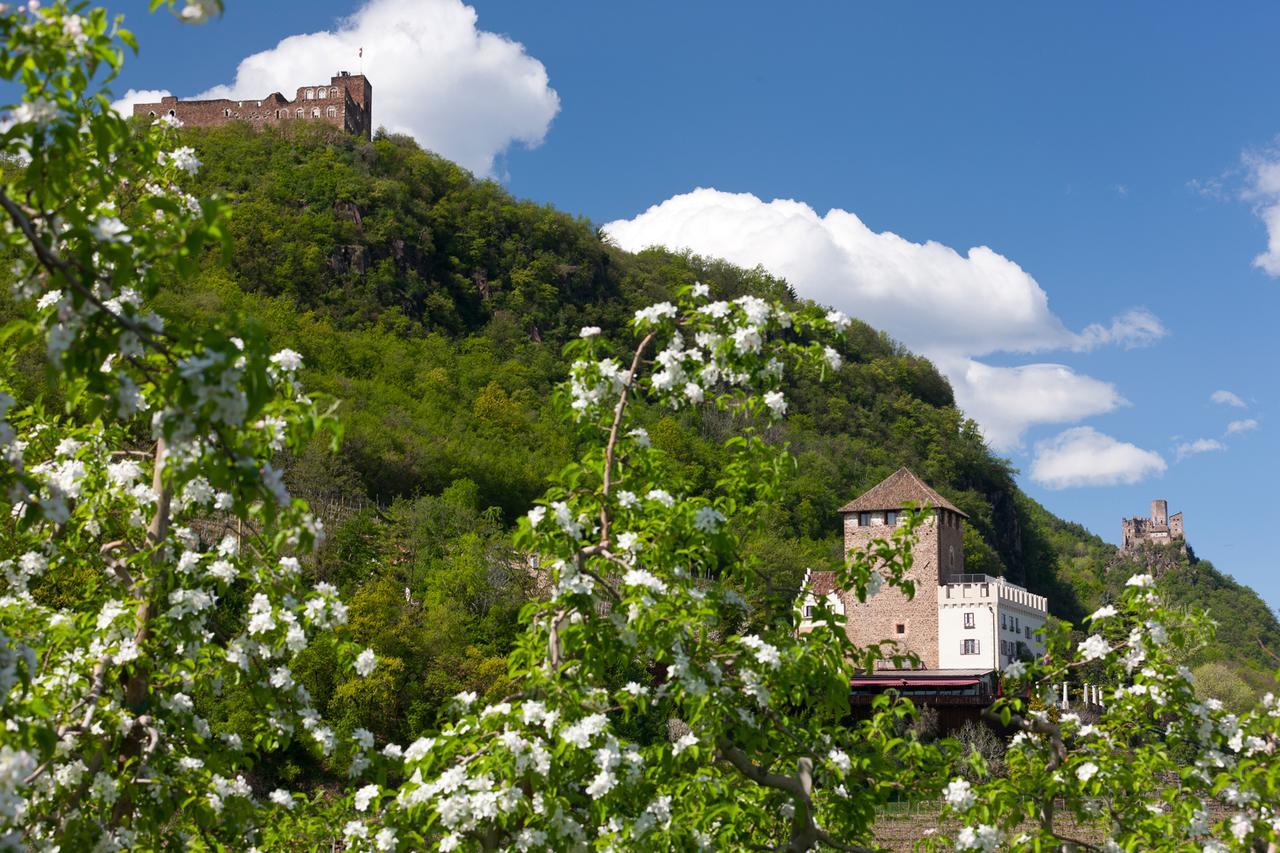 Weingut Wolkanhof อัปเปียโน ซุลลา สตราดา เดล วีโน ภายนอก รูปภาพ